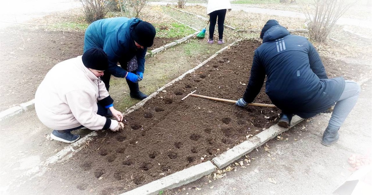 Тюльпани, гіацинти, крокуси: на шкільних клумбах Нікополя висадили первоцвіти від благодійників