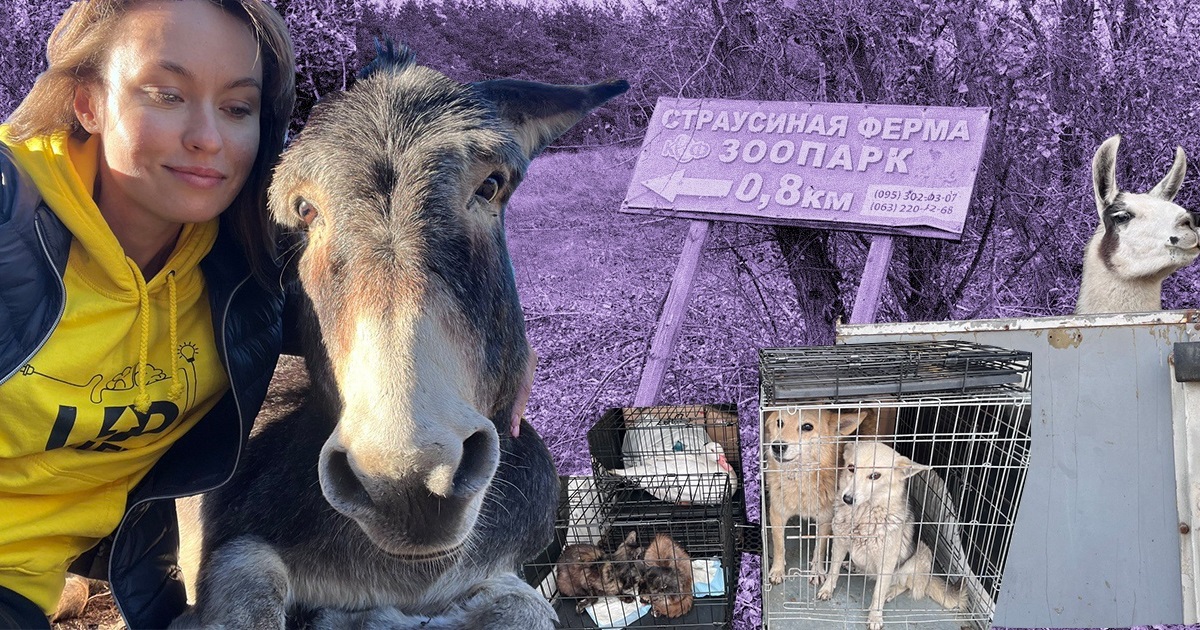 Волонтери "Плурітона" евакуюють тварин із гарячих точок. Хвостаті стають заручниками війни