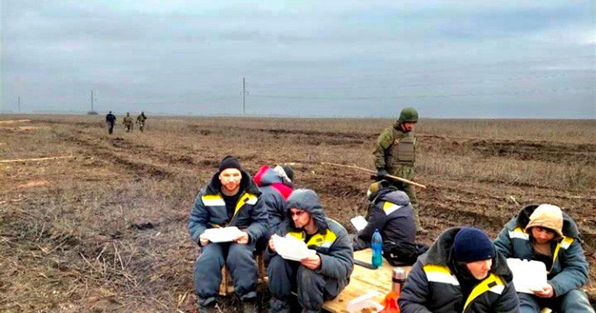 Хто і як будує росіянам укріплення в окупованій Запорізькій області?