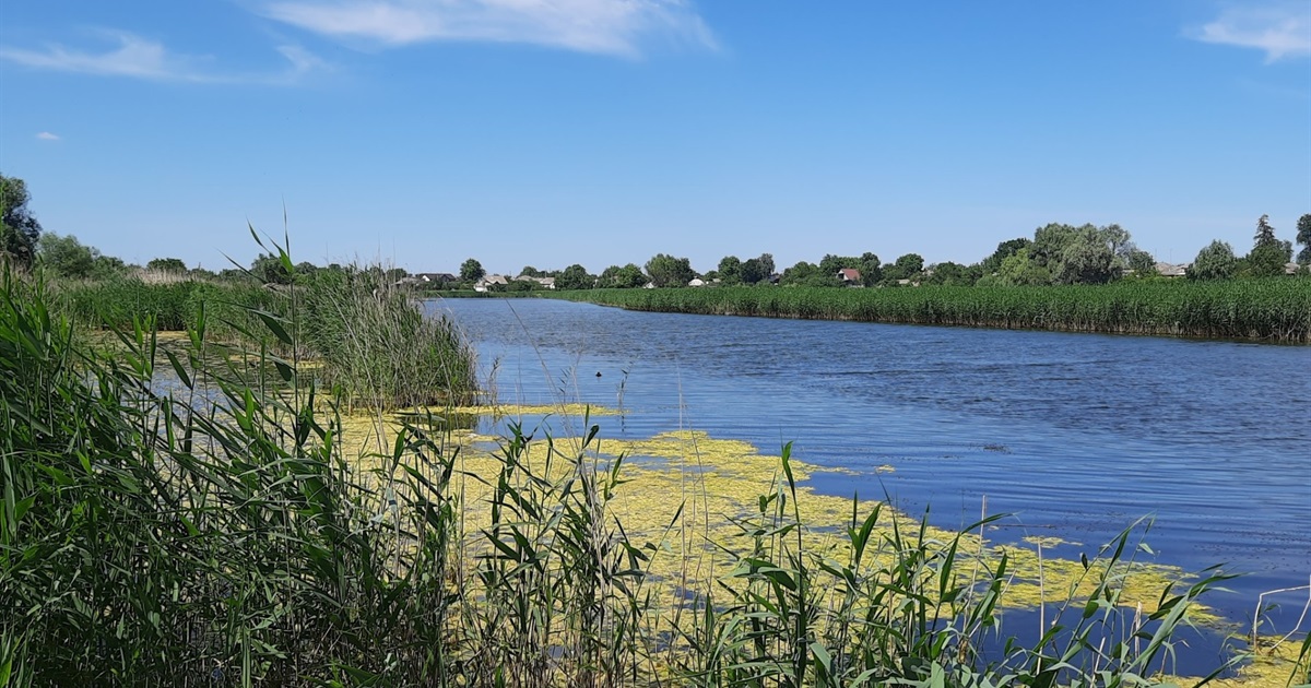 Ніжин – озеро: реальність й спогади