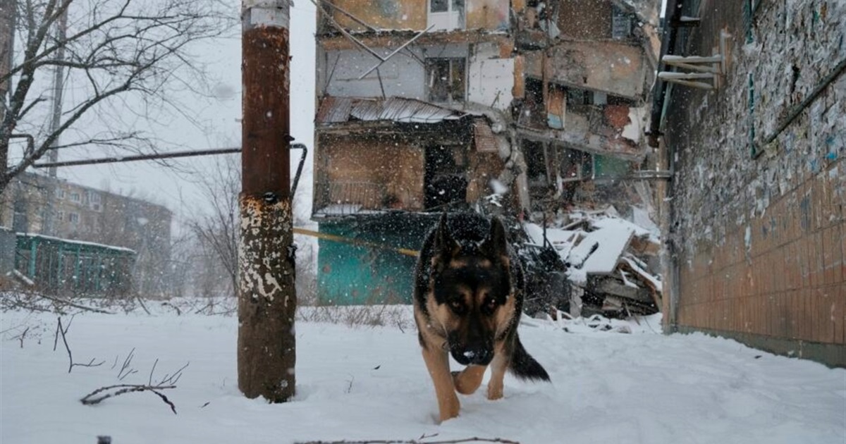 Як виглядає Вугледар сьогодні. Фото та відео