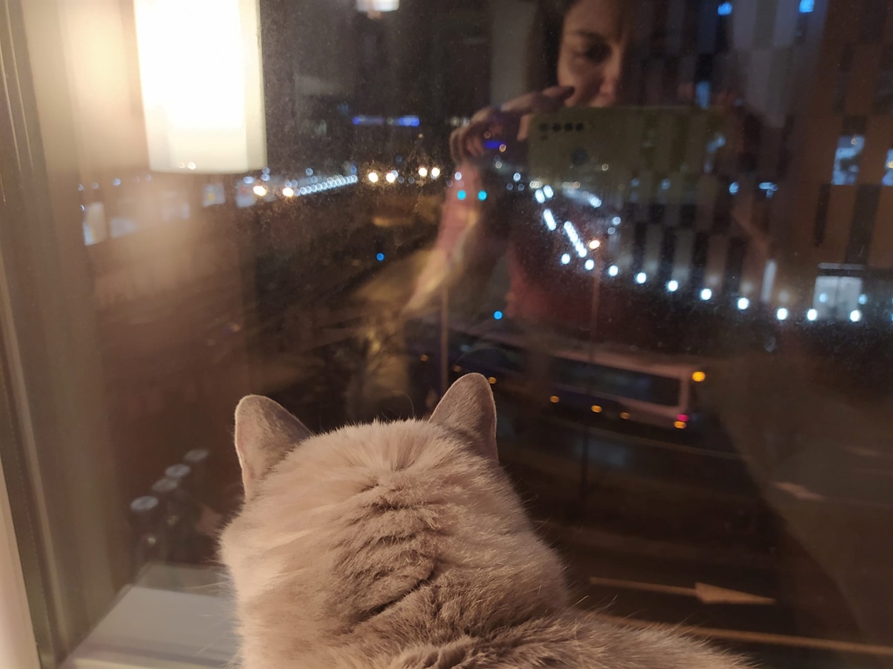 давай займемось текстом