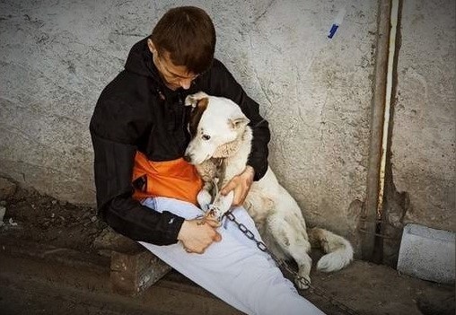 Тарас з собакою, яку врятував після поранення