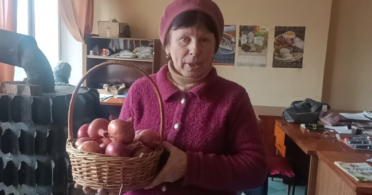 Цибуля «Заграва» від селекціонерів із Крут не поступається «Ялтинській місцевій»