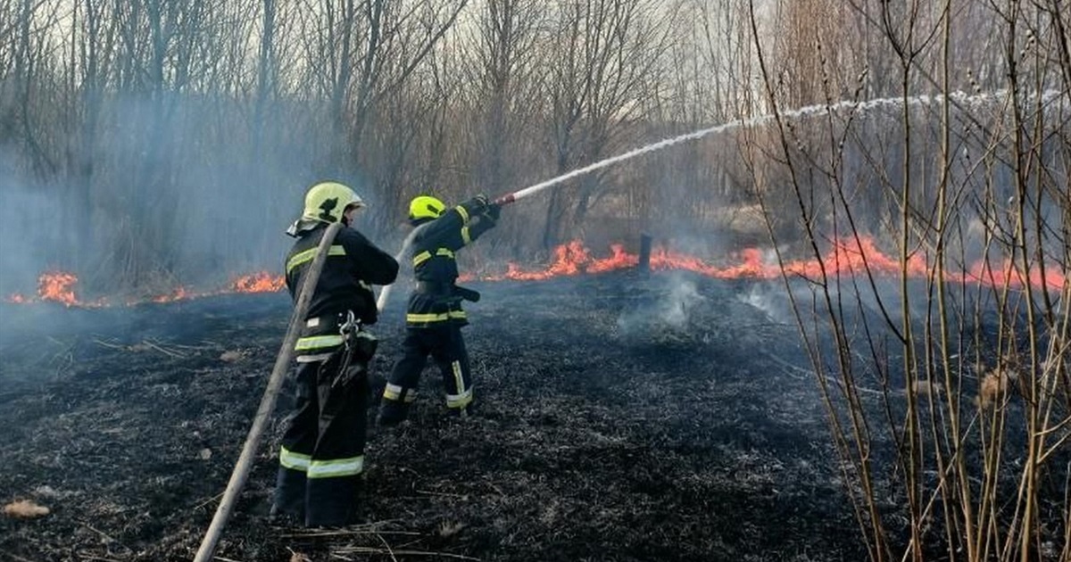 «Весняне загострення» у паліїв трави: на Калинівщині зафіксували десять пожеж в екосистемах