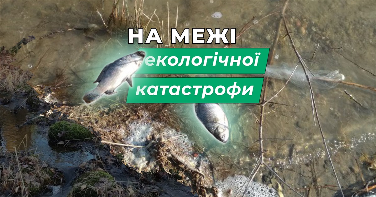 У бучанському озері Земснаряд задихається риба. На відновлення озера піде до двох років