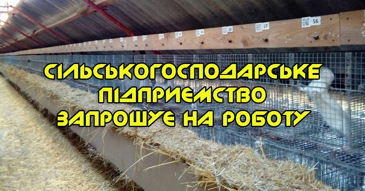 Сільськогосподарському підприємству на Переяславщині потрібні різноробочі