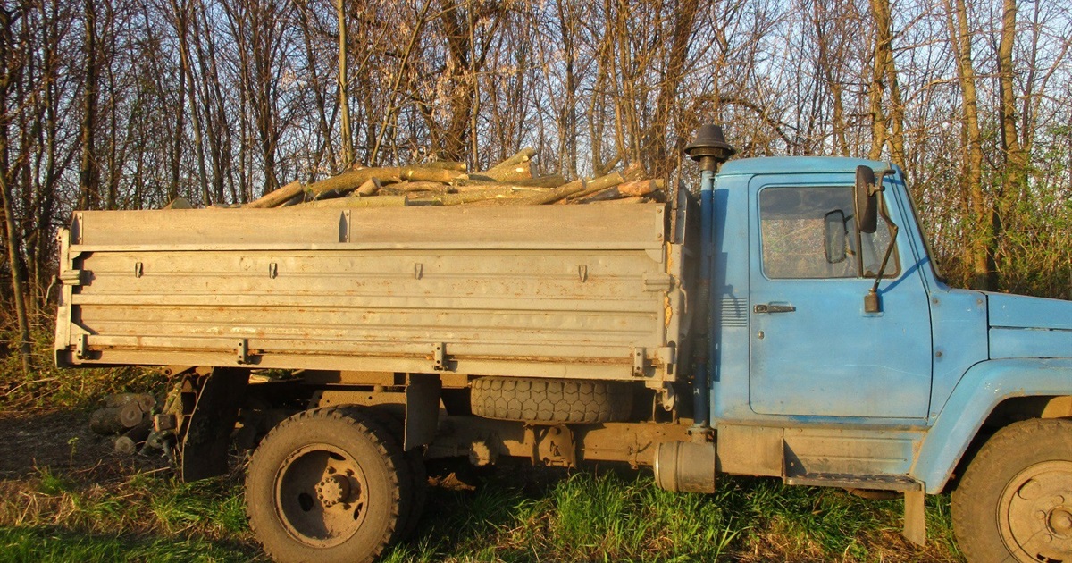 Біля Шкуратівки поліцейські виявили незаконний поруб дерев