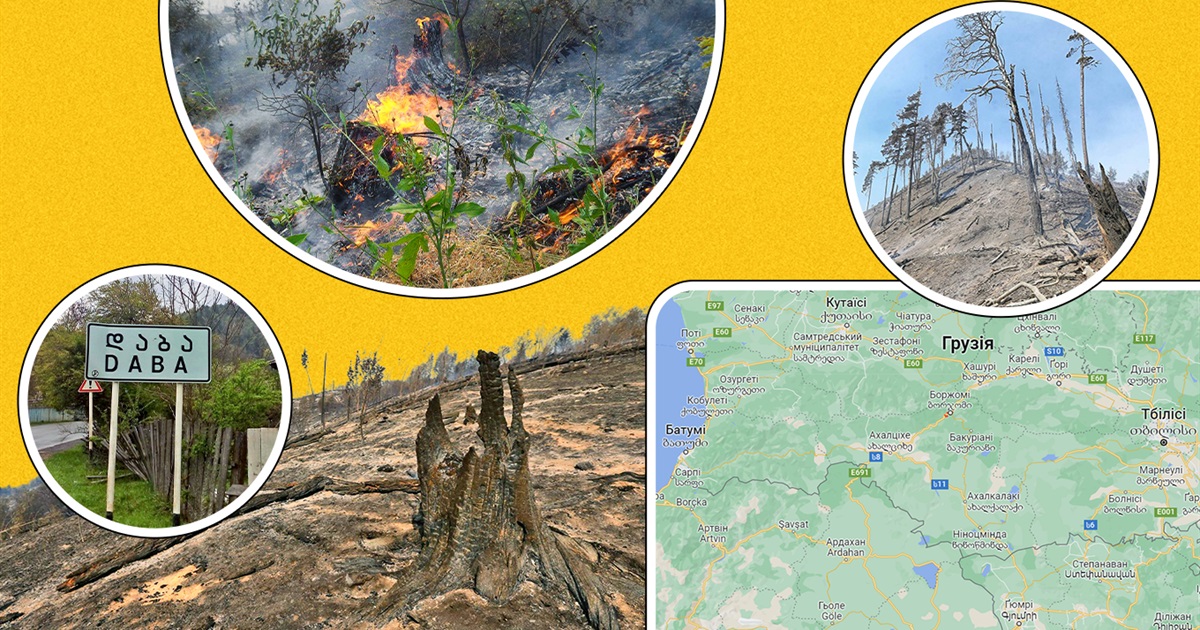Грузія: війна, ліс і заповідні території