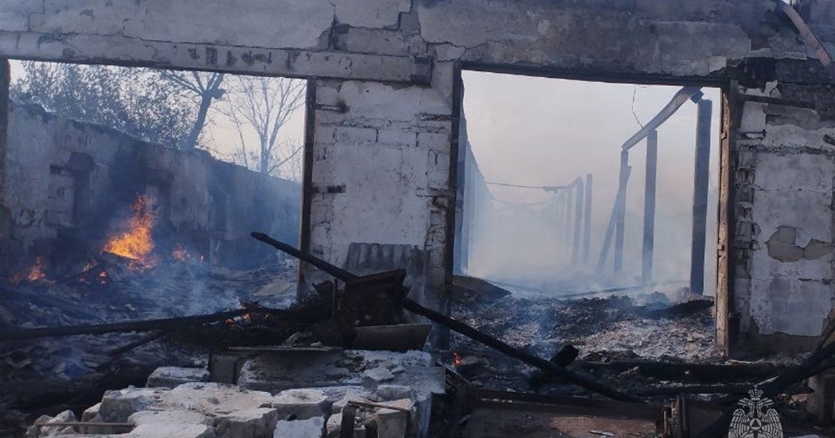 У Волноваському районі згоріло 28 тонн українського зерна. Фото