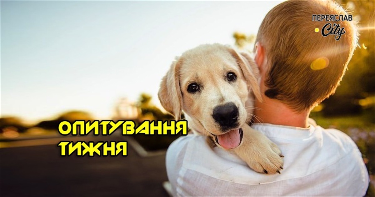 Опитування тижня: які тварини у вас живуть? Розповідають жителі Переяславщини