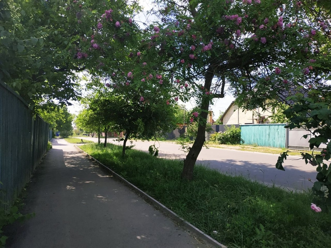 погода Гадяч