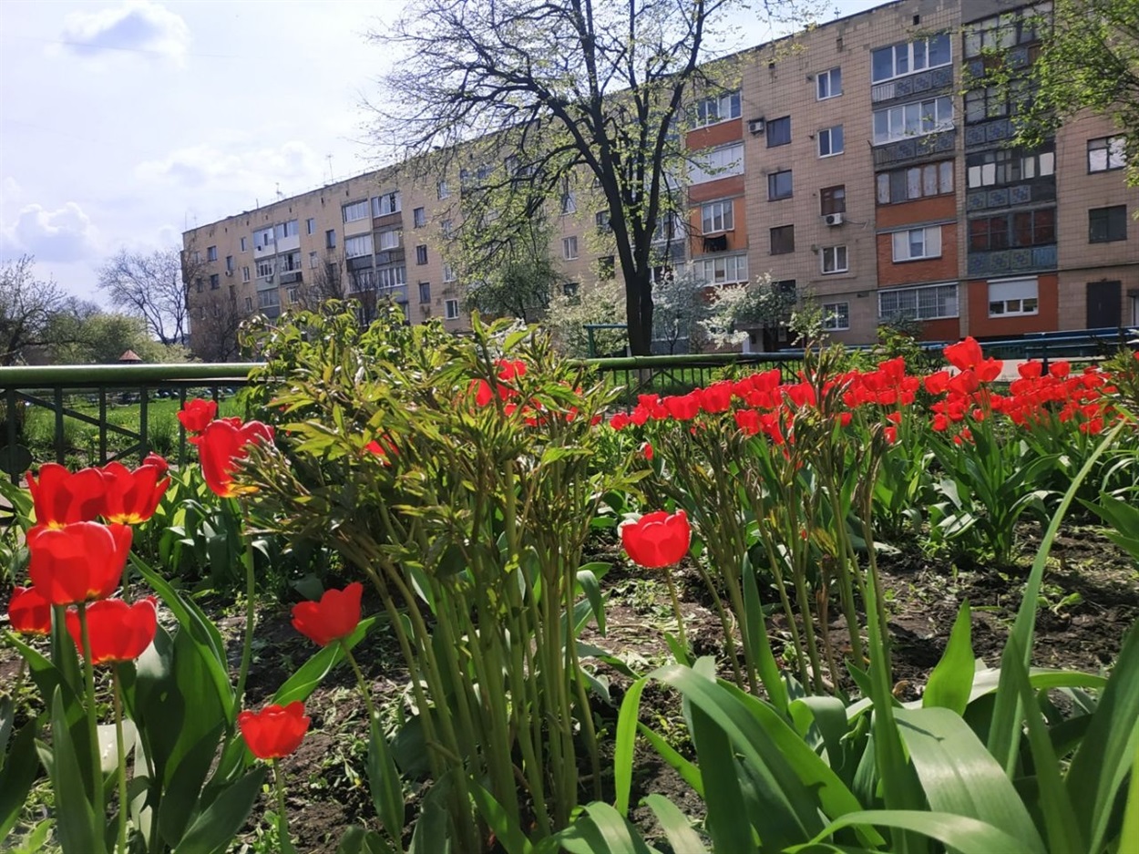 гадяч
