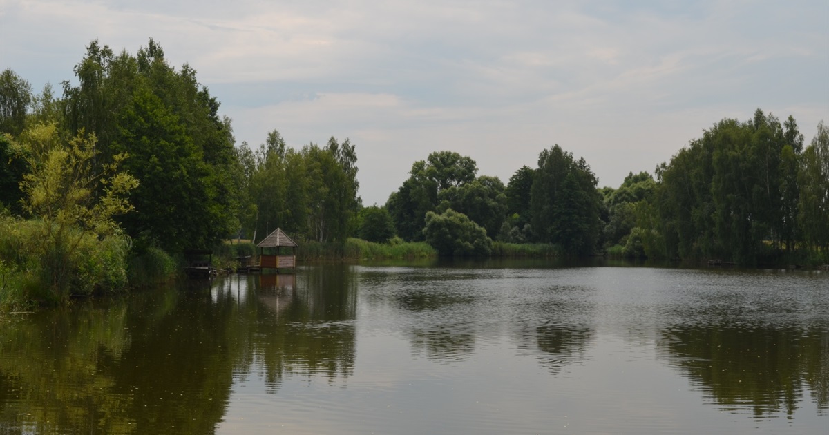 Одні їдуть у маленьке село Буда на Корюківщині жити, а інші — чекають закінчення війни, щоб виїхати
