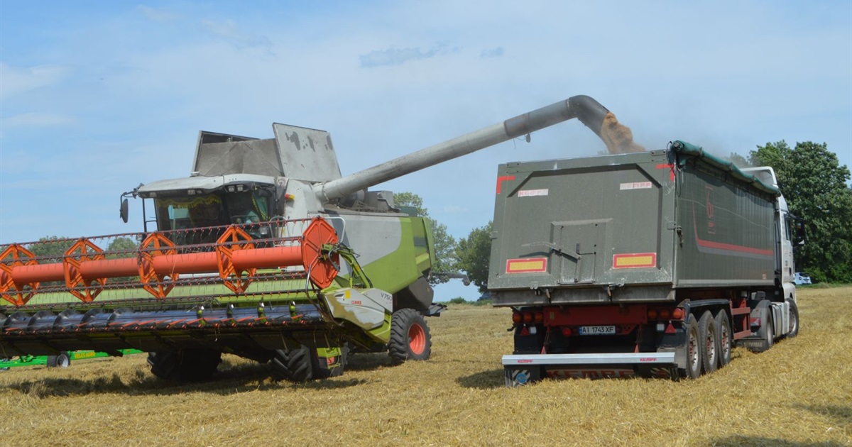 Кеңседе секс Үлкен сиськи бар жас балапанды бляды