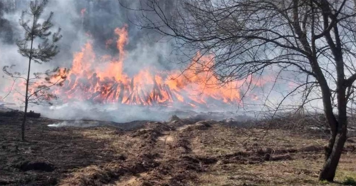 Готелі, заповідники, острови: які туристичні локації знищили росіяни