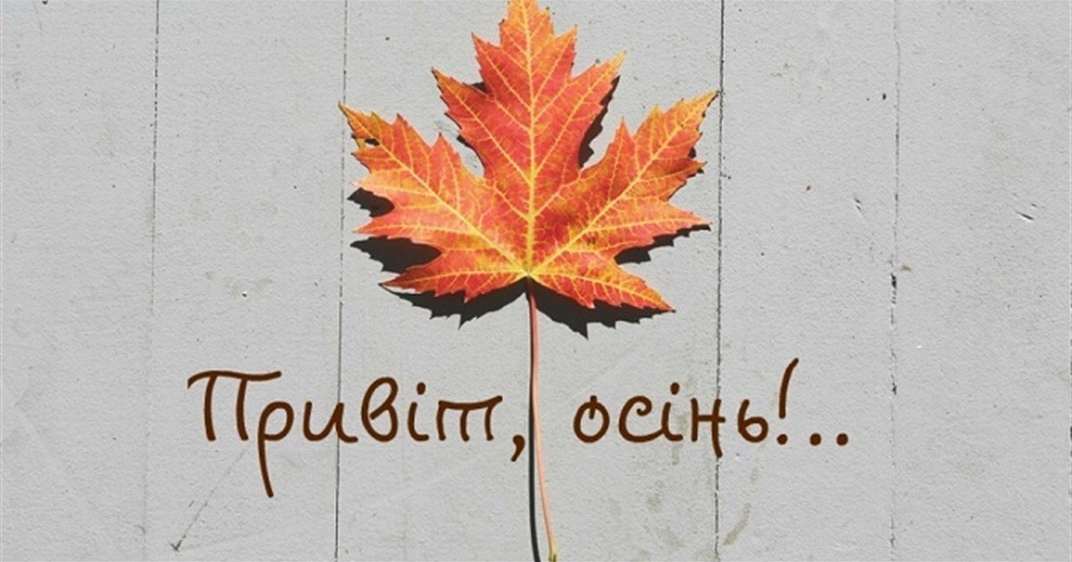 1 вересня на носі: зміни, які несе нам воєнна осінь