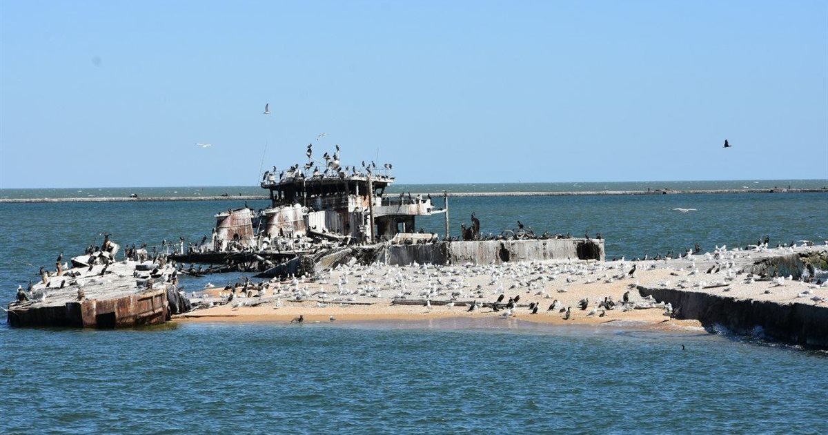 День моря без моря. Окупанти наближають екологічну катастрофу й знищують флору та фауну Азову