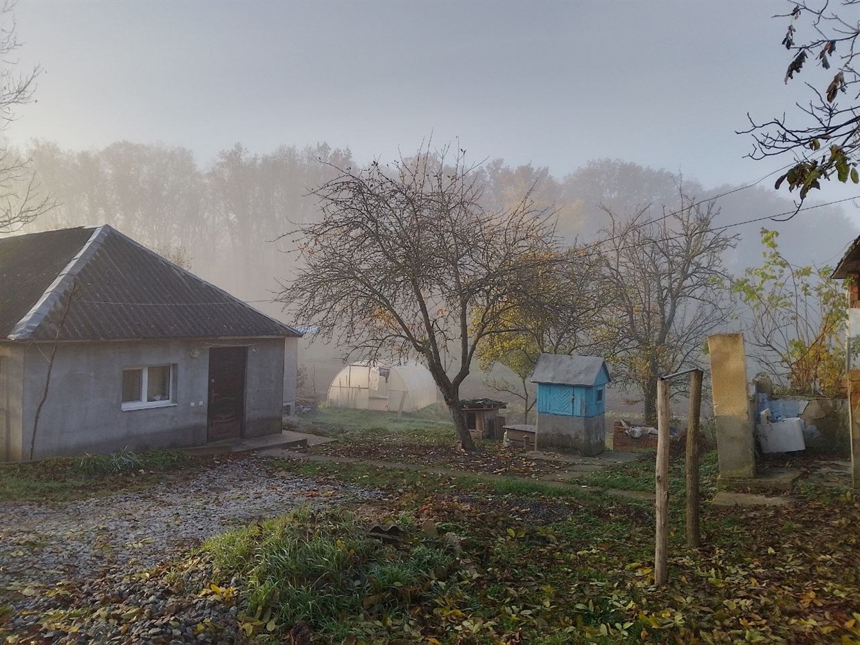 Будиночок Олексія
