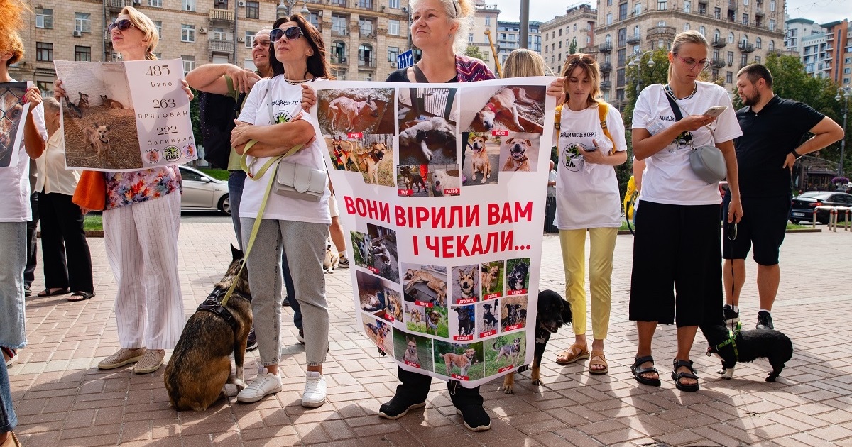 Залишила тварин напризволяще: Наталію Мазур звільнили з посади керівниці притулку в Бородянці