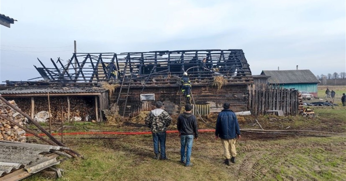 У селі Прибинь на Корюківщині загорівся добротний сарай. Чи вдалося врятувати господарчу будівлю