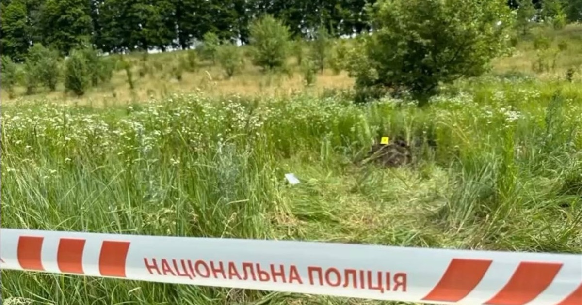 Вбивство у Зеленому Яру: розслідування завершено, справу направлено до суду