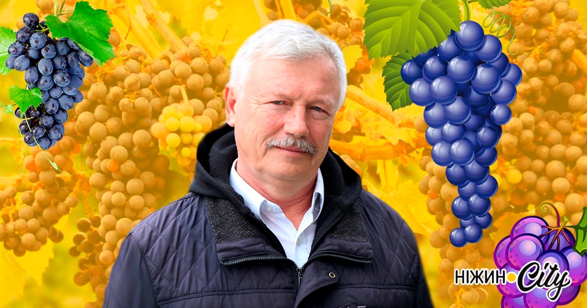 Про виноград і вино — захоплення родини Шуляків з Ніжина