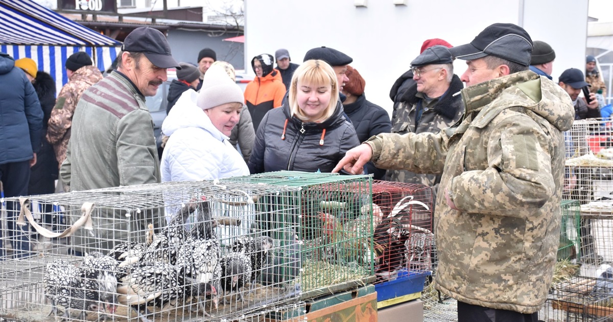 У Старокостянтинові провели виставку-ярмарок тварин і птиці. Що продавали
