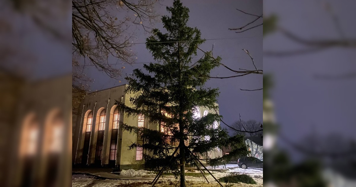 У Переяславі встановили головну ялинку: чи буде вона в сільських громадах Переяславщини?