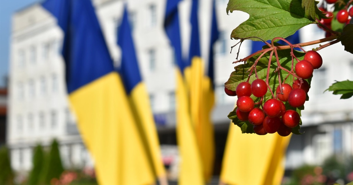 У Звягелі проведуть позачергове засідання виконавчого комітету: порядок денний