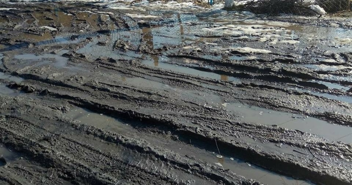 У Рибинську сусіди посварилися через колії на дорозі. Які проблеми на Новий рік розв'язувала поліція