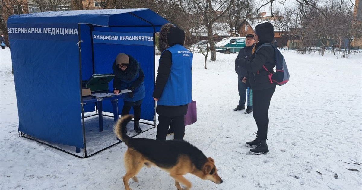 У Гадячі розпочалася вакцинація тварин від сказу. Як щепити свого домашнього улюбленця