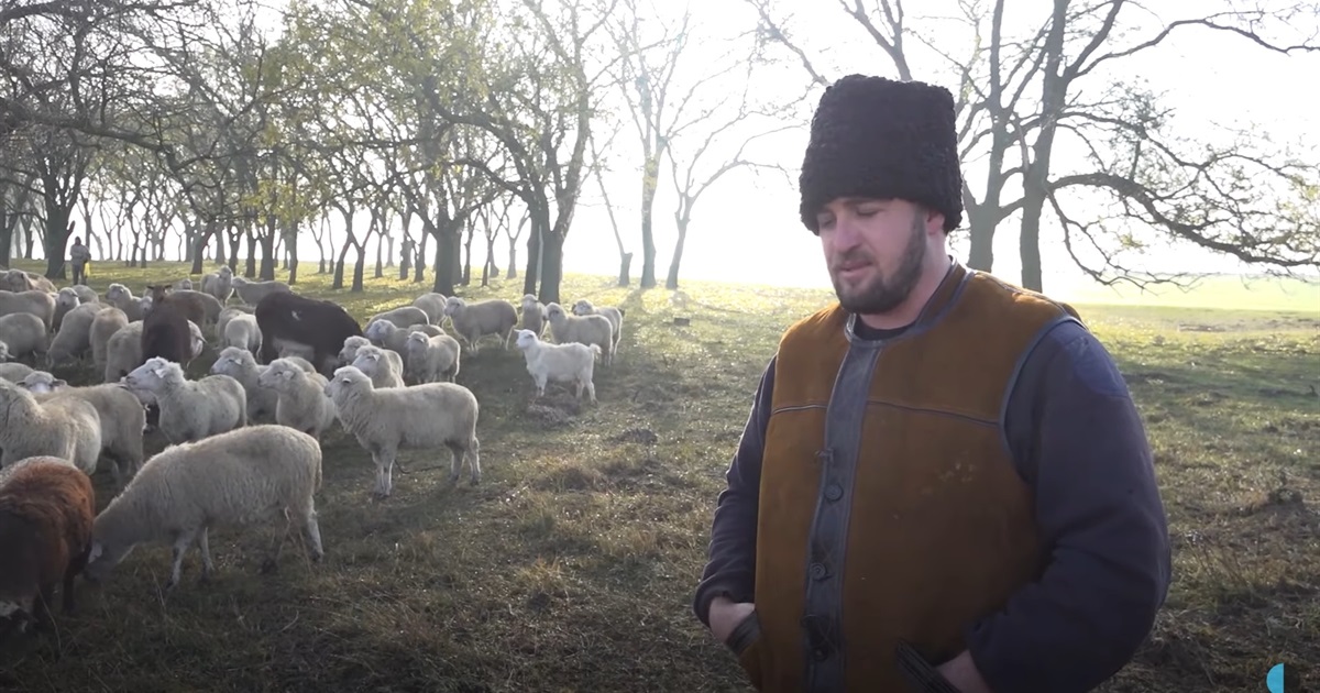 Бессарабці, що бережуть традиції своїх пращурів. Як живуть вівчарі на Півдні Одещини?