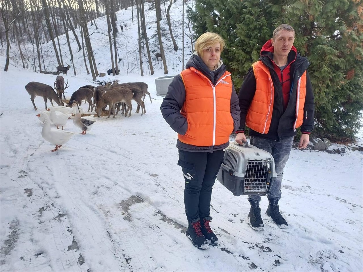 Мобільні екіпажі виїжджають на виклики 