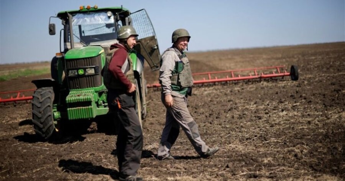 До праці стають пенсіонери та жінки. Як фермери Одещини справляються з втратою працівників