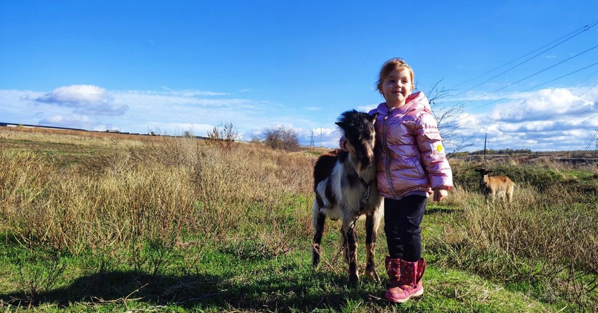 "Більше вже нікуди не виїду". Багатодітні родини не хочуть евакуюватися з прифронтового Приморського