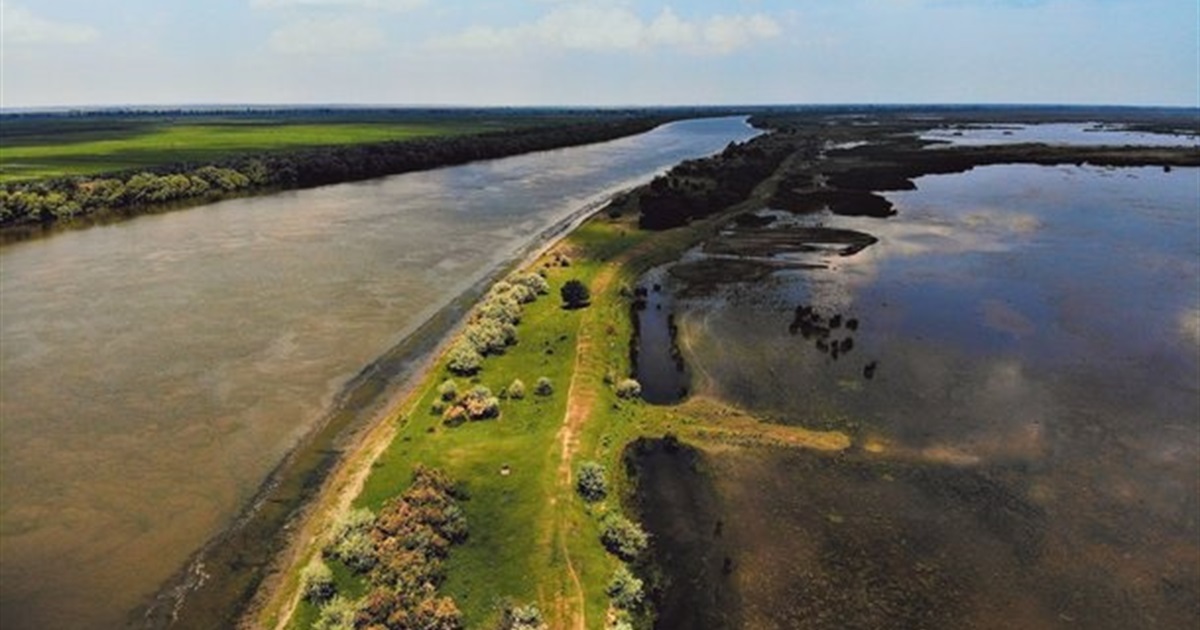 Водяні буйволи, дикі коні та люті комарі. Що подивитися на острові Єрмаков на Одещині?