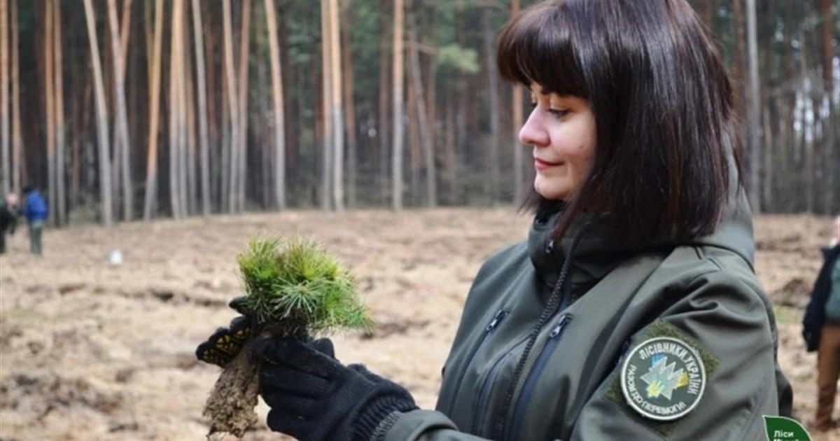 На Півдні висадять 5 гектарів лісів. Для найбільшого заходу з озеленення шукають волонтерів