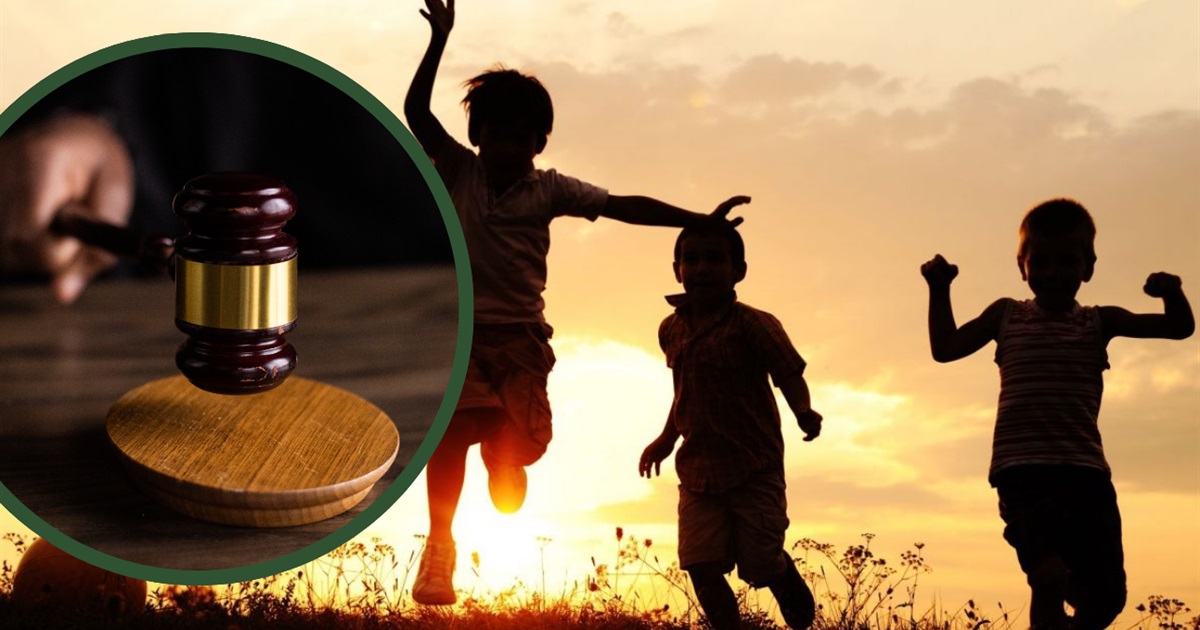 Судові справи і засідання: будні захисників дитячих прав