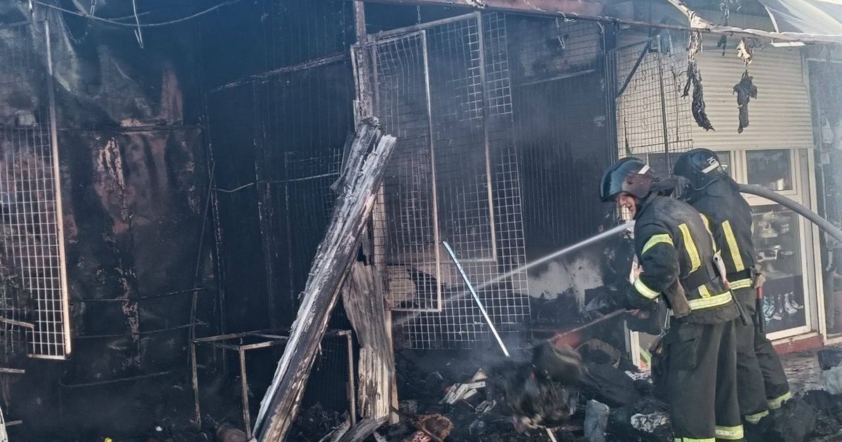 10 торгівельних ролетів згоріло на центральному ринку окупованого Бердянська