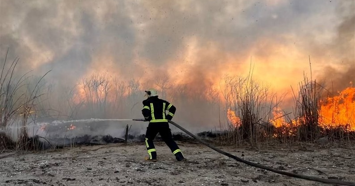 Горить трава та очерет. У плавнях Дніпра півсотні рятувальників гасили пожежі