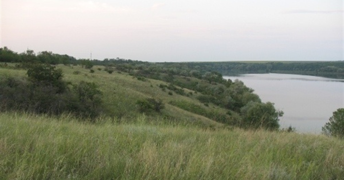 Якими є виклики у відновленні степів Херсонщини? Розповідаємо на прикладі Кам'янської Січі