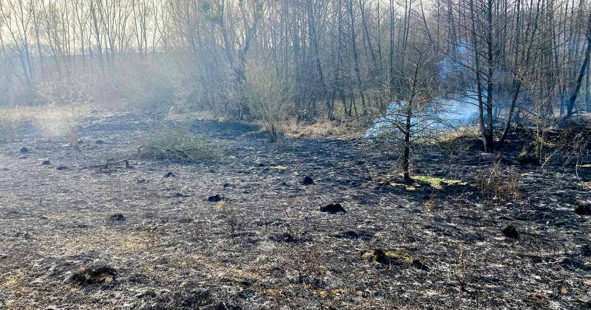 Довкілля під ударом: на Кагарличчині вигорів чималий шмат невдоб