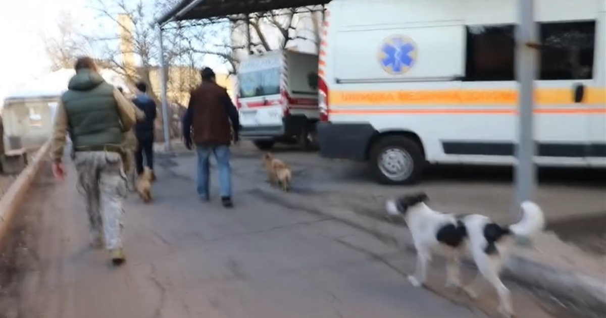 Як лікарня Гуляйполя працювала під постійними обстрілами? В мережі опублікували відео атаки