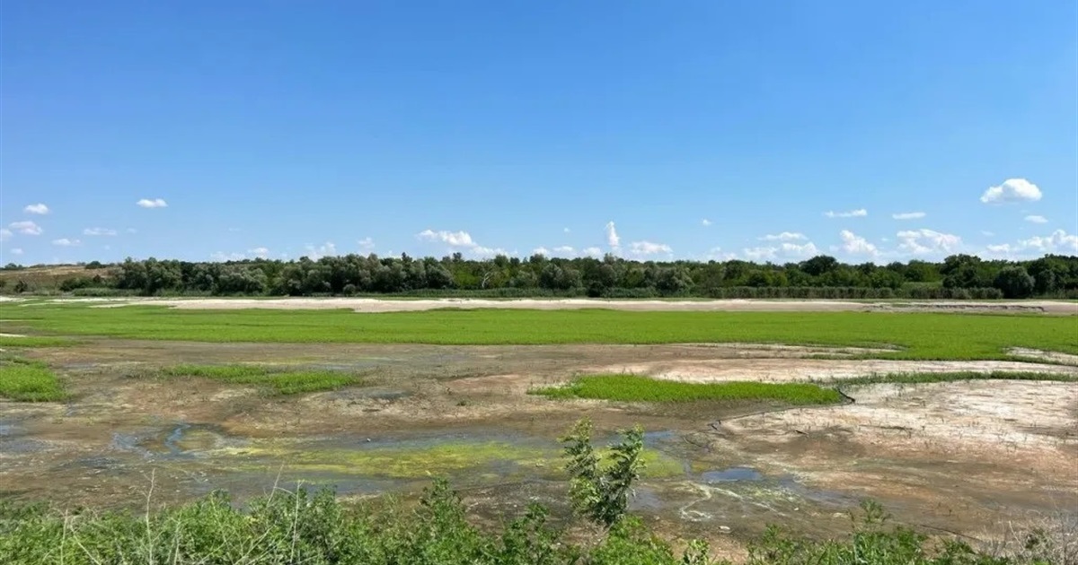 Великий Луг чи Каховське водосховище: прогнози еколога Олексія Василюка