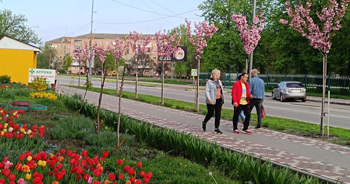 Переяслав озеленюється перед Великоднем: де і які дерева посадили у місті цієї весни ФОТО