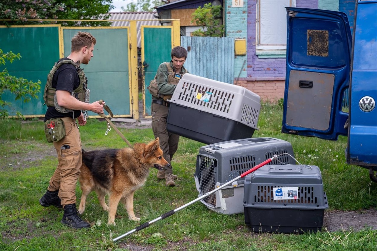 Порятунок тварин на Харківщині