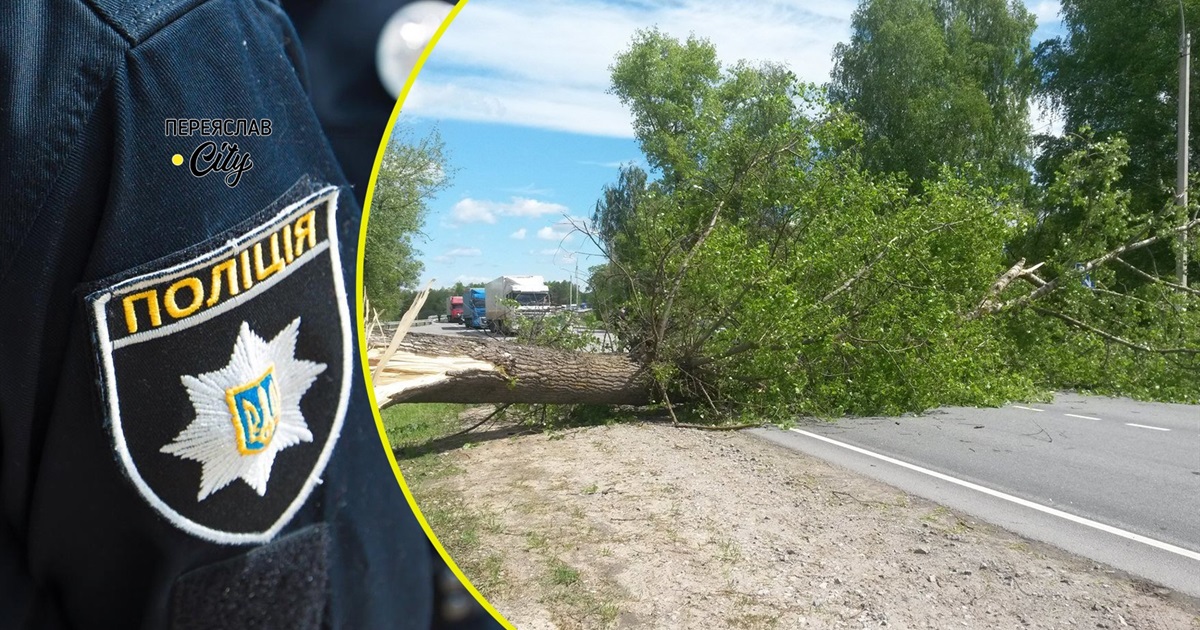 Негода звалила дерево, яке перекрило автотрасу: хроніка поліції 9 червня