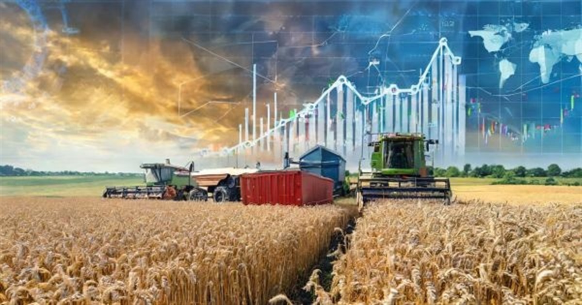 Вплив війни на агропромисловий сектор України: прогнози врожаю 2024 року