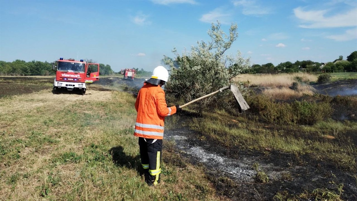 Добровільна пожежно-рятувальна команда на ліквідації пожежі в екосистемі